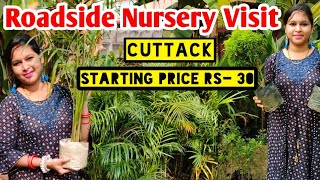 Roadside Nursery Visit, Cuttack Khan nagar | Low price nursery in Cuttack , Odisha | Lipsha world