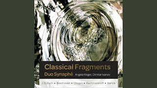 Six Musical Moments, Op. 16: No. 3, Andante cantabile (Arr. for Two Guitars)