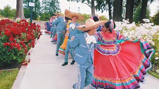 San Jose: Where Culture Shines