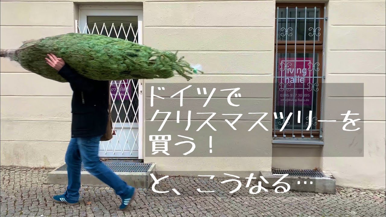ドイツでクリスマスツリー を捨てる Weihnachtsbaum Wegwerfen Youtube