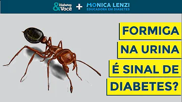 O que significa formiga no vaso sanitario?