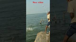 Unbelievable Very Big rohu fish catching video  #shorts #youtubeshorts
