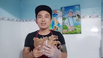 Hướng dẫn làm khô mực chiên nước mắm