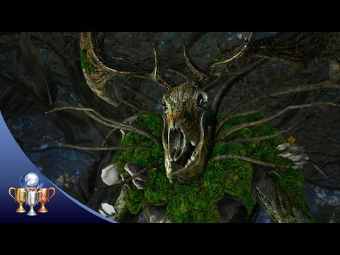 The Witcher 3 - Woodland Spirit [MISSABLE] Trophy - In the Heart of the Woods Contract