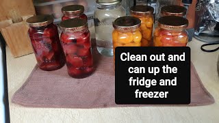 Canning up from the fridge and freezer