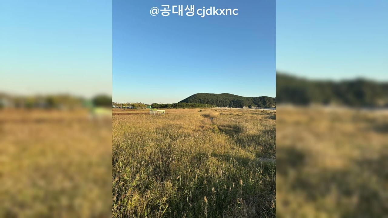 Indigo | 감정이 가장 짙어지는 순간 (자작곡 풀버전) 