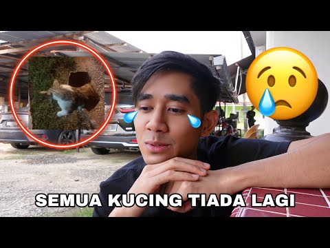 Video: Rahsia Pesanan 