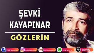 ŞEVKİ KAYAPINAR - GÖZLERİN Resimi