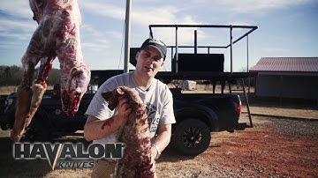 How to Skin a Coyote: Part 2