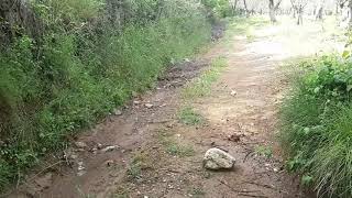 Her Şey Fani Sezen Aksu