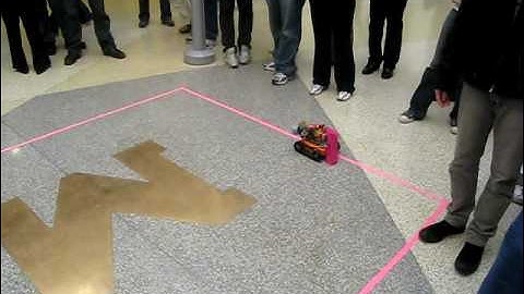 Image Processing Line Follwing Robot