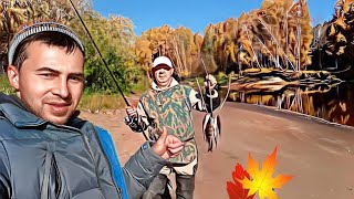 картинка: река северная. отвели душу на рыбалке