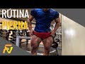 RUTINA PARA VOLUMEN Y TONO MUSCULAR EN PIERNAS! | FERNANDO VALDEZ