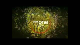 BBC One Magical Forest Ident (Wales Version)