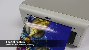DS820 Printer & Media