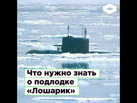 Что нужно знать о подводной лодке «Лошарик»?