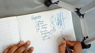 Dna Replication In Prokaryotes In Easiest Way Part 1