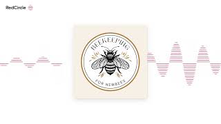 Episode 190 – The Bee Buzz (32): Spring Hive Questions from Beekeepers 🐝💡