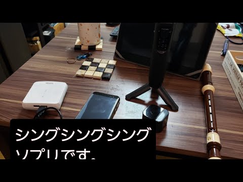 シングシングシング リコーダー