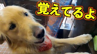 散歩に必要な物はちゃんと覚えているまるくん