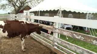 Profile: Red Barn Family Farms