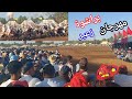 مهرجان احد البراشوة زعير ستة وثلاثون سربة موجودة خيول السهول حاضرة بجمهورها 