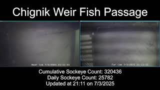 Chignik Weir Fish Passage