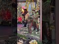 Gwen Stefani “You Make It Feel Like Christmas” #live #like #music #fyp #shorts #christmas #nyc #love
