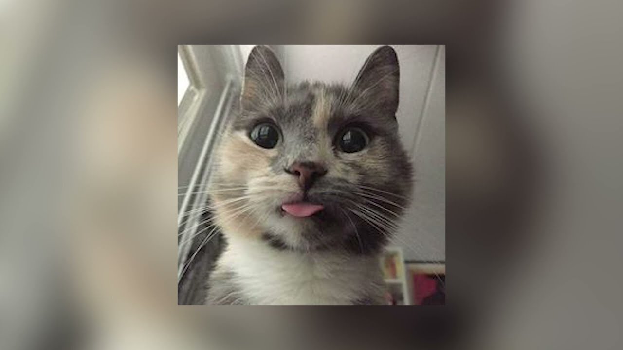 one day (sped up) | 4K UHD | Asaf Avidan & The Mojos