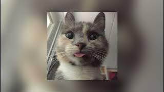 Download lagu one day (sped up) | 4K UHD | Asaf Avidan & The Mojos