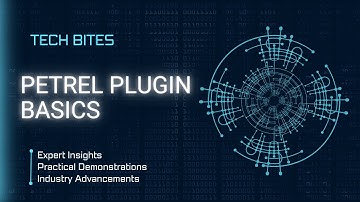 Petrel Plugin Basics