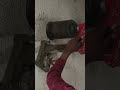 Wall Core Cutting Work | Core Cutting Machine for Plumbing &amp; Electrical | Site Work Explained