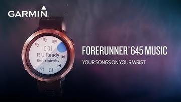 Garmin Forerunner 645 Music: GPS Running Watch with Music and More