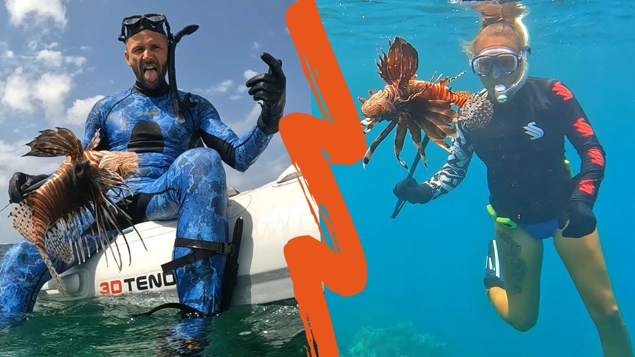 Poisson-Lion : de l’océan à l’assiette !! / Sailing Atypic S3 • E69