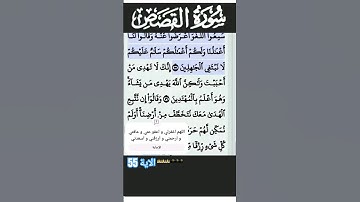 سورة القصص الآية 55 #قرآن #quran #islam #islamicstatus