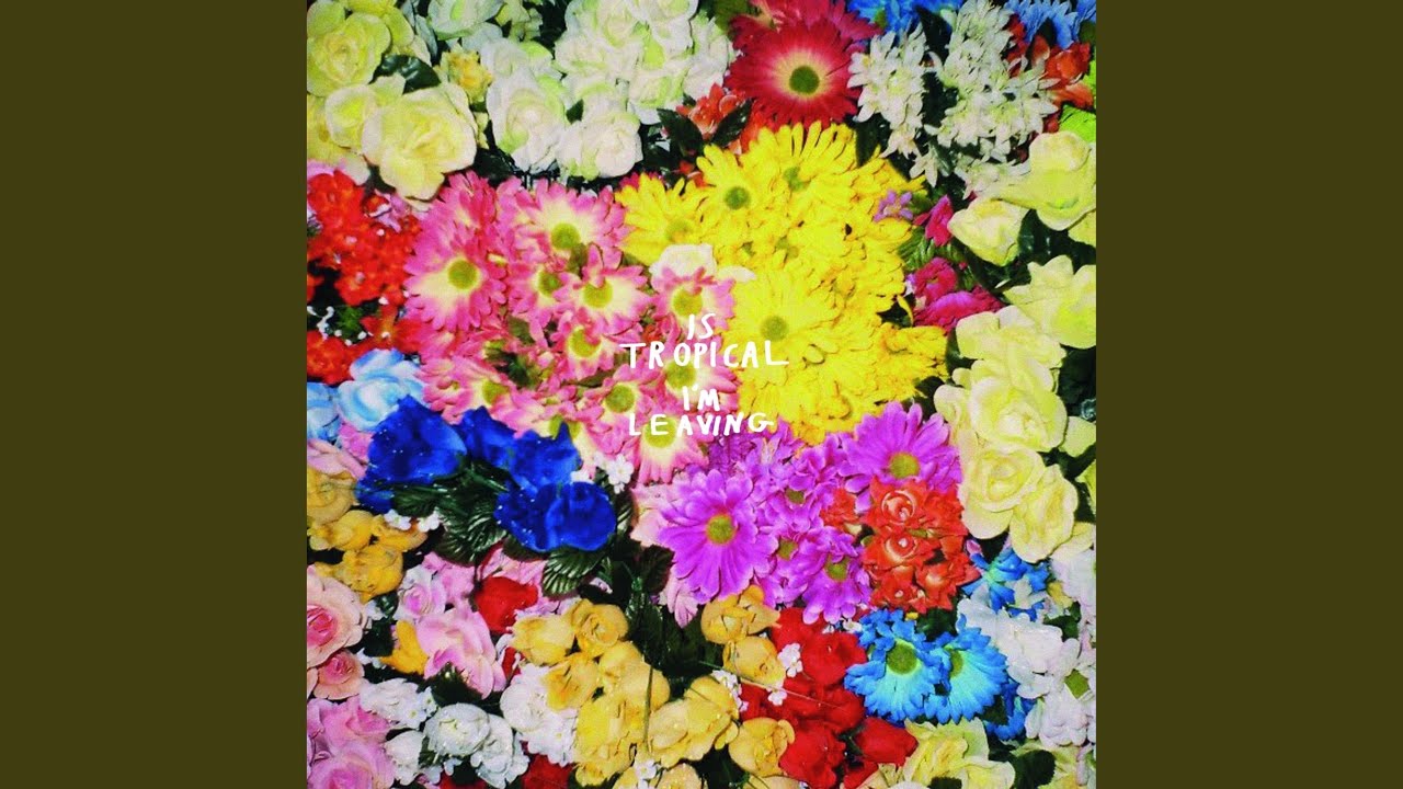 IS TROPICAL - Video acordes