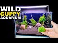 WILD & NATURAL GUPPY BREEDING AQUARIUM - STEP BY STEP || MD FISH TANKS