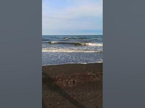 Залив Анива - YouTube
