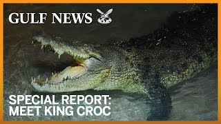 Meet King Croc the latest addition to Dubai Aquarium & Underwater Zoo(Dubai Aquarium and Underwater Zoo add a new saltwater crocodile named King Croc to their exhibition. See more at: http://gulfnews.com/gntv., 2014-06-17T12:11:52.000Z)
