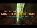 Minister Creek Trail - Allegheny National Forest - PA