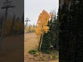 Snowing during fall foliage