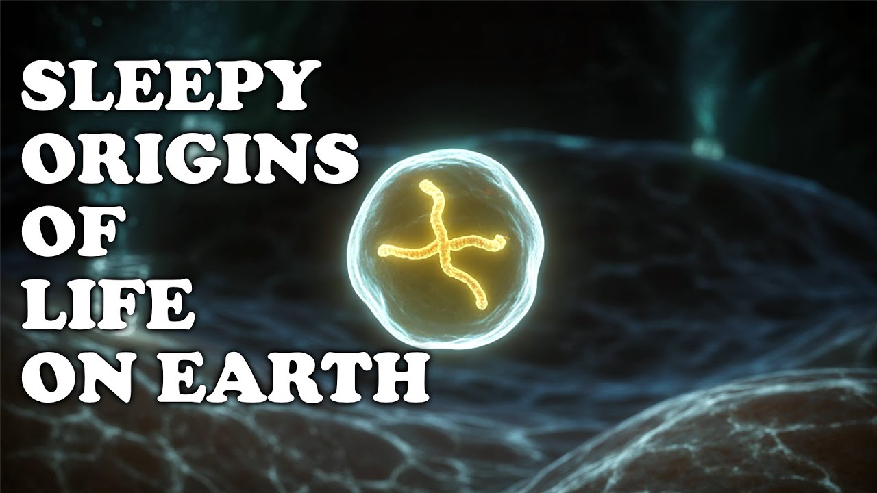 Fall Asleep To 3 Hours Of The Origins Of Life On Earth - YouTube