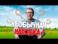 Необычная находка в компостной яме. Был приятно удивлён!