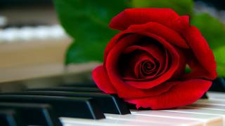 Elegant Piano Love Wedding Instrumental · No Copyright Background Music · Glamorous by Pufino