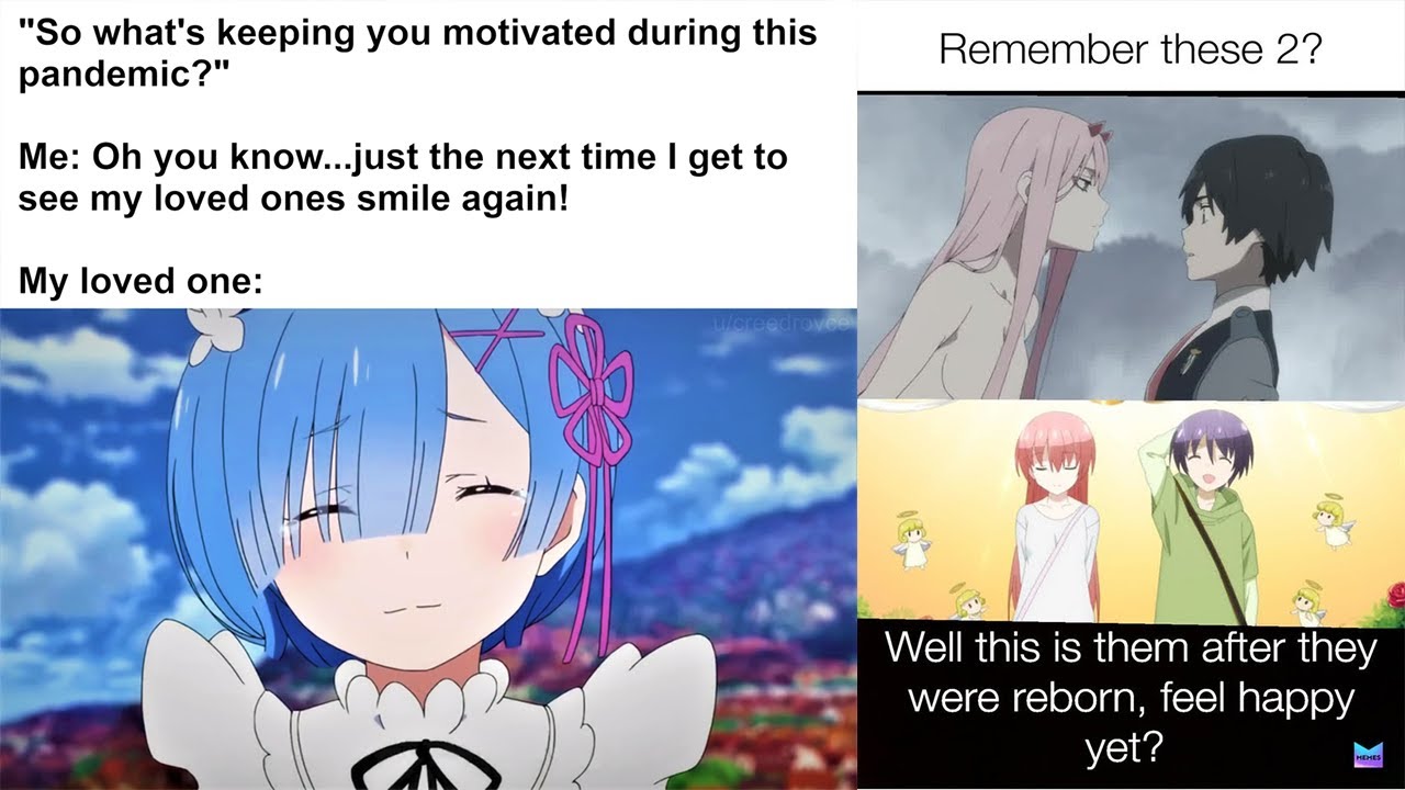 Anime wholesome Memes  GIFs  Imgflip