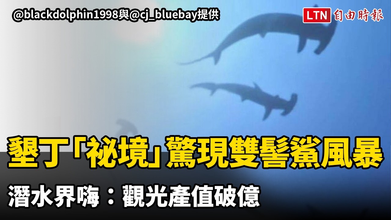 不用飛日本！墾丁「祕境」驚現雙髻鯊風暴 潛水界嗨：觀光產值破億