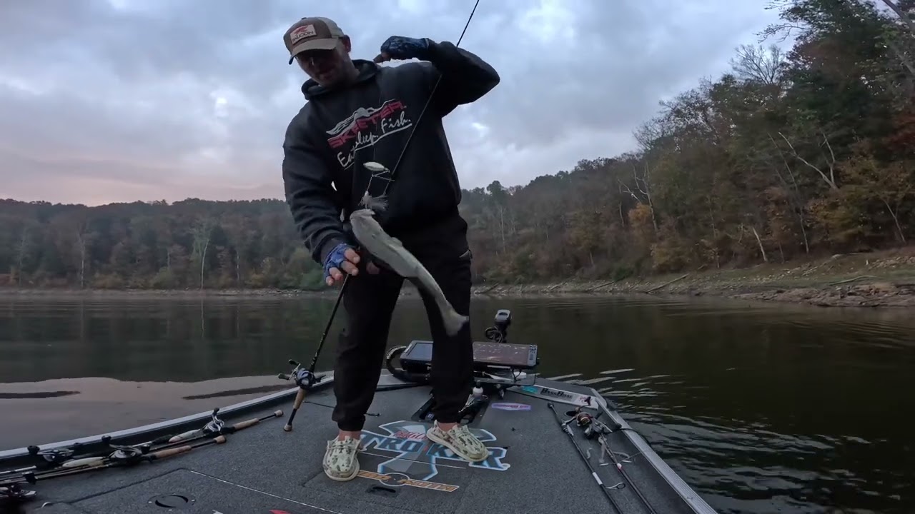 Fall Bass fishing offshore brush piles
