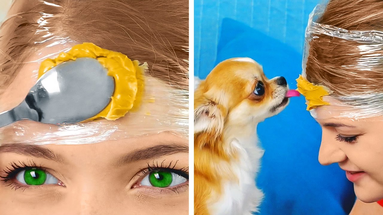 Smart Pet Hacks And Gadgets That Will Ease Your Life