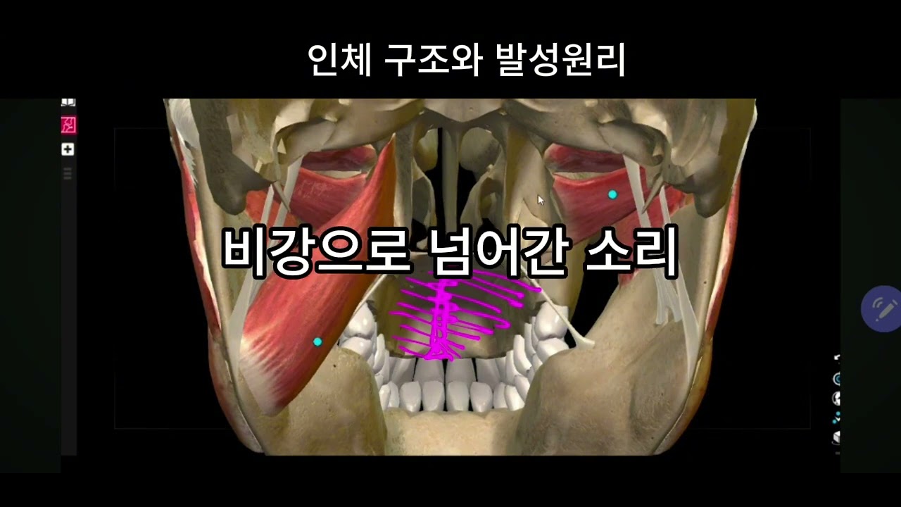 고음의 핵심 입천정 이해(고음기초)/그리고 기다림.