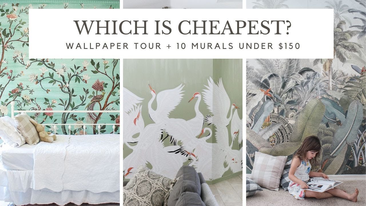Обзор обоев | Викторина | 15 недорогих находок для настенной живописи от 38 до 150 долларов